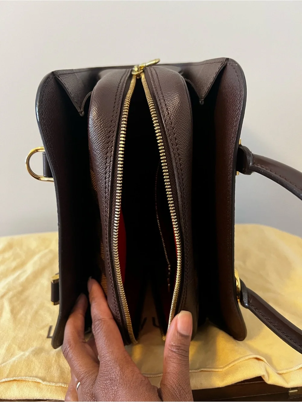 Louis Vuitton classic louis